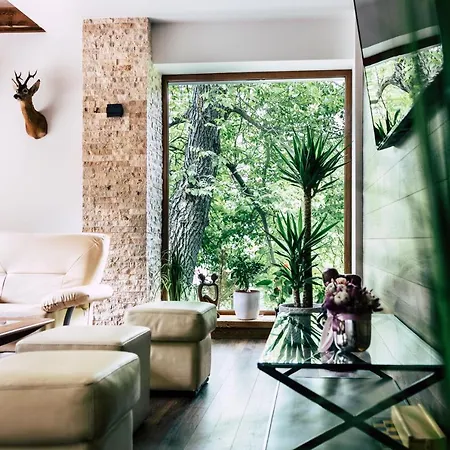 Pensiune Mer Guest House B&B